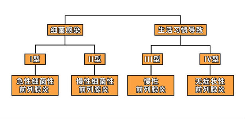image4.jpg