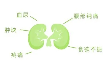 E:\2 微信\【临时 定期删】网站后台\640.webp (3).jpg