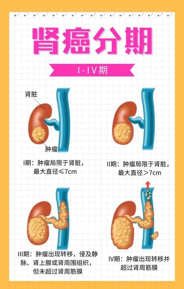 E:\2 微信\【临时 定期删】网站后台\640.webp (4).jpg