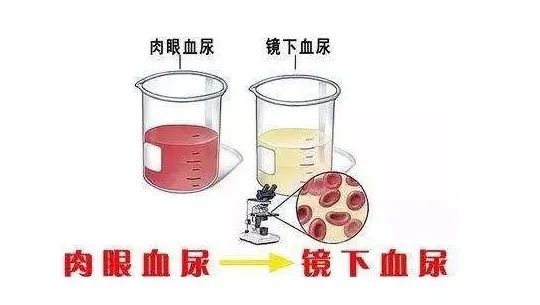 E:\2 微信\【临时 定期删】网站后台\640.webp (5).jpg