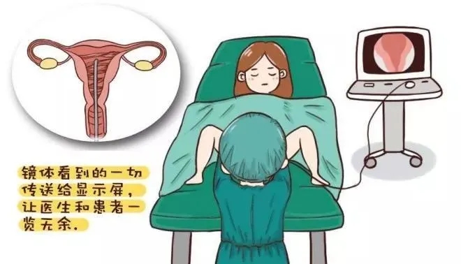 E:\2 微信\【临时 定期删】网站后台\640.webp (2).jpg