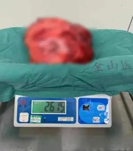 E:\2 微信\【临时 定期删】网站后台\640.webp (1).jpg
