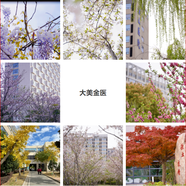 E:\2 微信\【临时 定期删】网站后台\QQ截图20221124144242.png