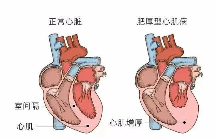E:\2 微信\【临时 定期删】网站后台\image2.jpeg