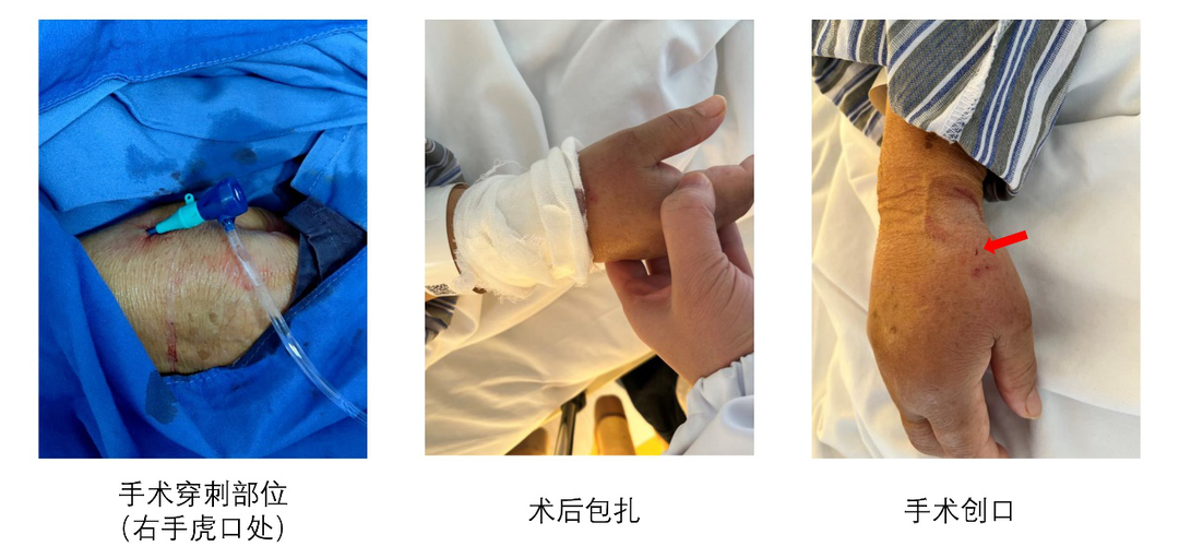 E:\2 微信\【临时 定期删】网站后台\640 (3).png