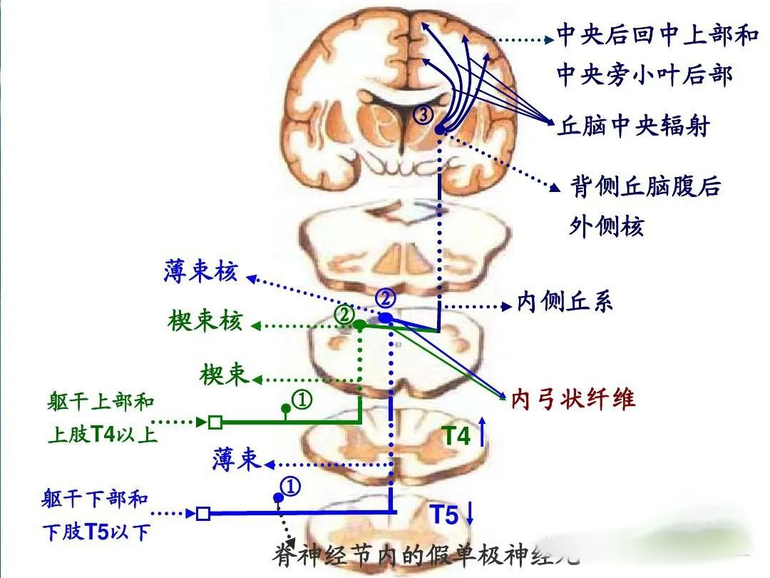 E:\2 微信\【临时 定期删】网站后台\640 (1).jpg