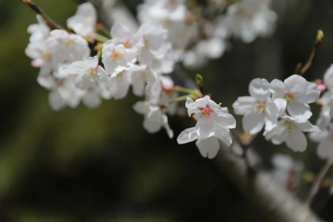 E:\2 微信\【临时 定期删】网站后台\640 (8).jpg