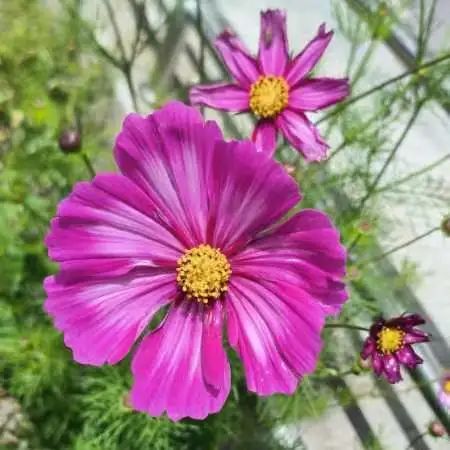E:\2 微信\【临时 定期删】网站后台\640 (2).jpg