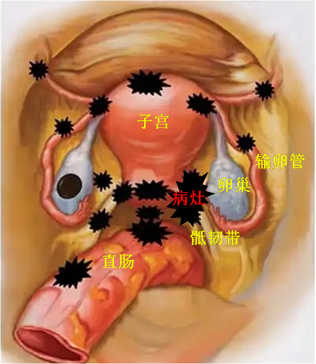 E:\2 微信\【临时 定期删】网站后台\640 (2).png