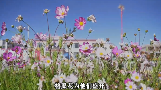 E:\2 微信\【临时 定期删】网站后台\640 (2).png